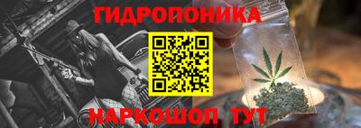 ECSTASY Славгород