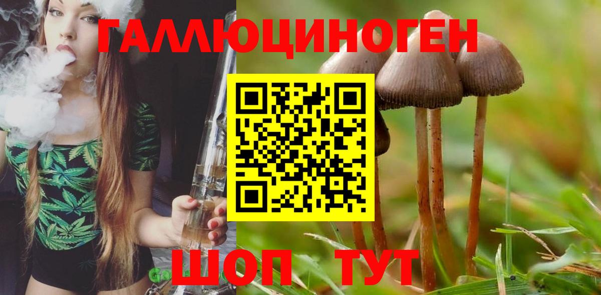 Сарапул  Галлюциногенные грибы мухоморы  наркота  Вход с VPN  Галлюциногенные грибы Psilocybe 